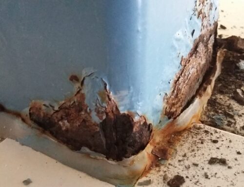 Unimarine – primer-finitura applicabile su bagnato manutenzione piscina